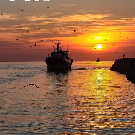 Appartement Le Saint Louis - Terrasse Proche De La Le Grau-du-Roi