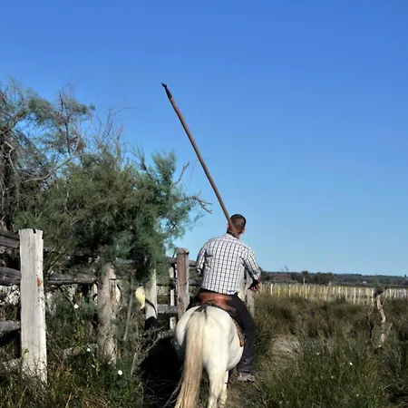 Le Saint Louis - Terrasse Proche De La *