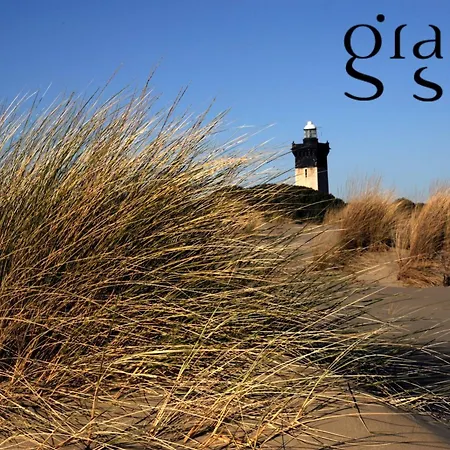 Le Saint Louis - Terrasse Proche De La Le Grau-du-Roi