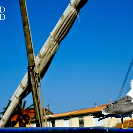 Le Saint Louis - Terrasse Proche De La * Le Grau-du-Roi