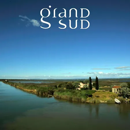 Le Saint Louis - Terrasse Proche De La
